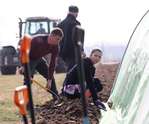 Justyna i Mateusz z serialu Rolnicy. Podlasie