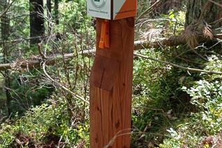 Nowa atrakcja turystyczna pod Olsztynkiem. Fani biegów na orientację będą zachwyceni