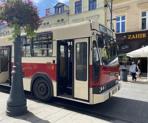 Parada Wolności 2025 niedziela