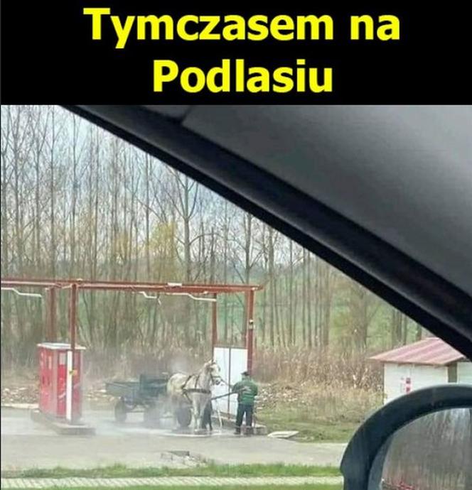 Najlepsze memy o Podlasiu. Zobacz najciekawsze memy o województwie podlaskim. Ubaw do łez!