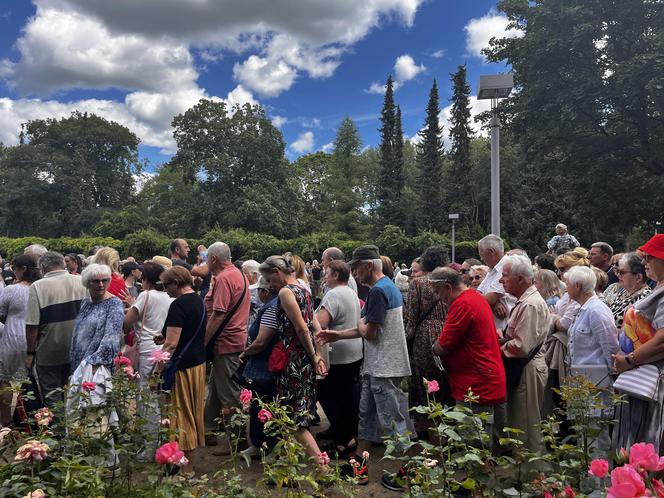 Kolejka tort urodziny Szczecina 