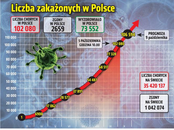 Koronawirus w Polsce. Dane z 5.10.2020