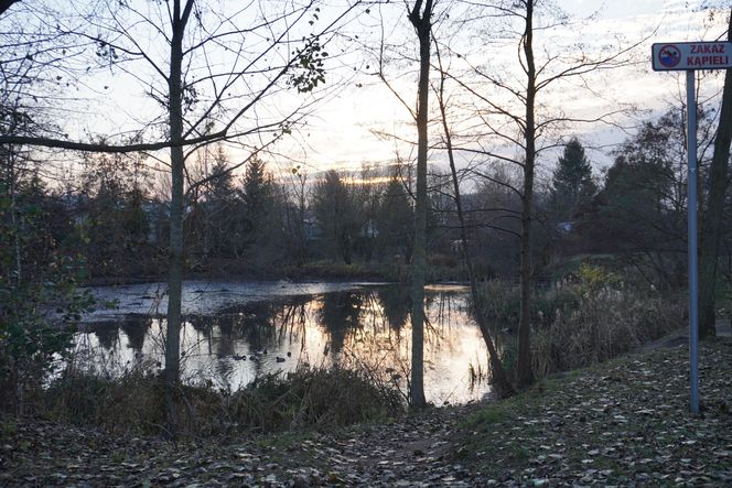 Tu powstanie kolejne miejske do rekreacji w Białymstoku. Tak obecnie wygląda staw przy Bema