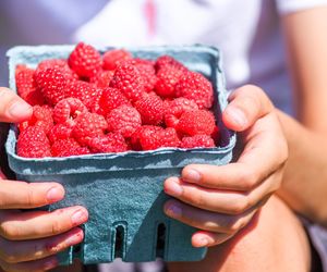 Tym osobom maliny mogą zaszkodzić. Sprawdź, czy jesteś w grupie ryzyka