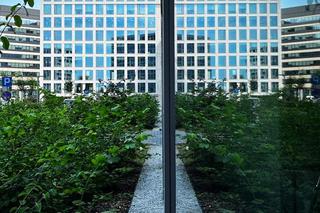 Brain Park, fot. Paulina Puz