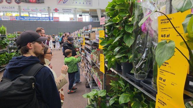 Festiwal Roślin znów zachwycił bydgoszczan! Setki gatunków i wyjątkowa atmosfera