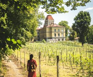 Nie tylko Cieszyn i Ustroń. Nieznany Śląsk Cieszyński to pałace, winnice i stare dęby - zwiedzaj śladami Wędrownych Motyli