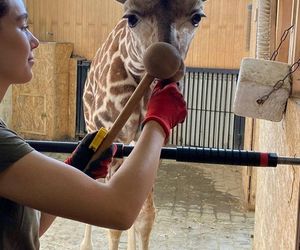 ZOO w Warszawie ma już 97 lat. Wielka feta w stołecznym ogrodzie! Jakie tajemnice kryje jego historia?