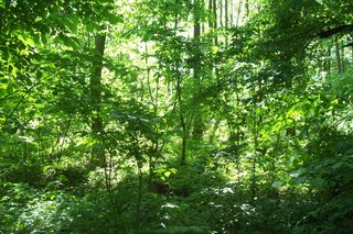 3. Wielkopolski Park Narodowy