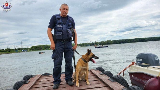 Szkolenie psów policyjnych nad Zalewem Zemborzyckim