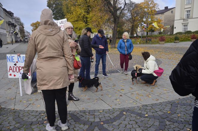 Wielki marsz adopciaków w Radomiu