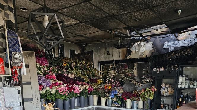 Spłonęła kwiaciarnia w Zabrzu. Było to podpalenie, a straty oszacowano na 100 tys. zł