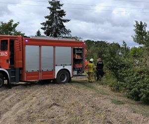 Awionetka spadła na ziemię w Wielkopolsce. Dwie osoby nie żyją