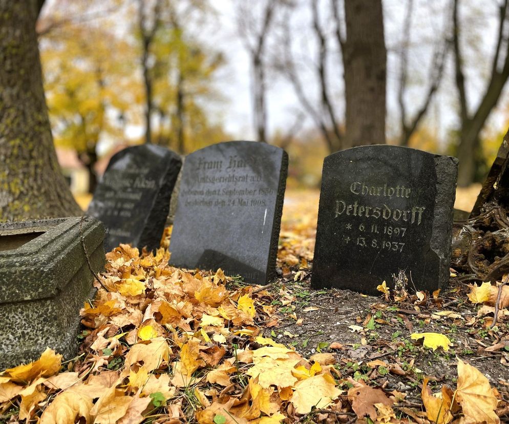 Będzie kolejne miejskie lapidarium