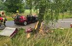 Makabryczny wypadek pod Szczecinem. Rozpędzone auto uderzyło w drzewo. Jedna osoba nie żyje, dwie są ranne