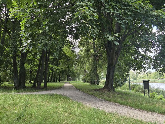 Zielona perła Bartodziejów. Odkryj uroki bydgoskiego Balatonu