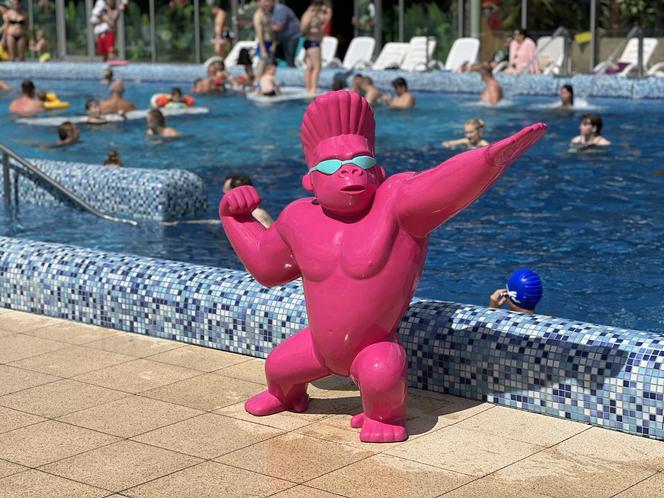 Tak bawiliśmy się w piątek! Ekipa Eska Summer City była na Termach Maltańskich
