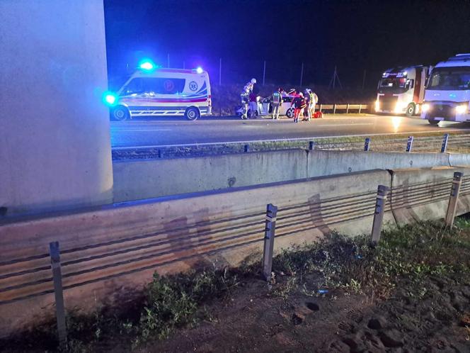 Kierowca uderzył w łosia na autostradzie i zginął! Tragiczny wypadek pod Toruniem [ZDJĘCIA]