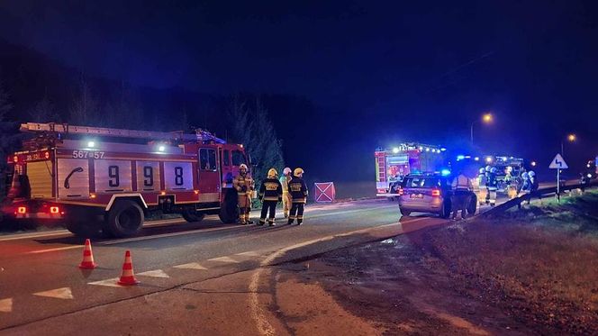 Podkarpackie. Śmiertelny wypadek na krajowej 19