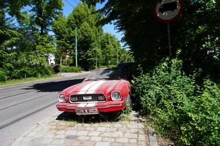 Opuszczony Mustang przy ulicy Wołyńskiej w Poznaniu. Do kogo należy? Jak długo będzie tam stał?