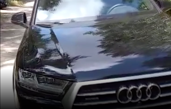 Znaleźli w lesie skradzione Audi warte 360 tys. zł.