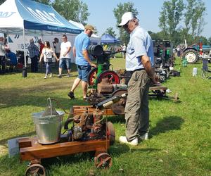 Festiwal starych ciągników w Wilkowicach. Setki maszyn, tysiące widzów i upał