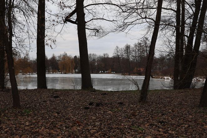 Zimowy spacer po roztoczańskim Zwierzyńcu