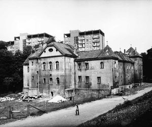 To najdziwniejszy zamek w woj. śląskim według AI. Jest w Sosnowcu