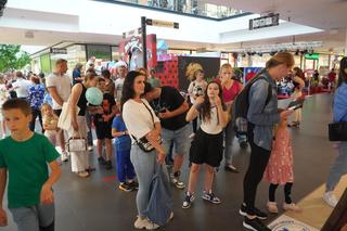 Miraculum Biedronka i Czarny Kot w Galerii Echo Kielce