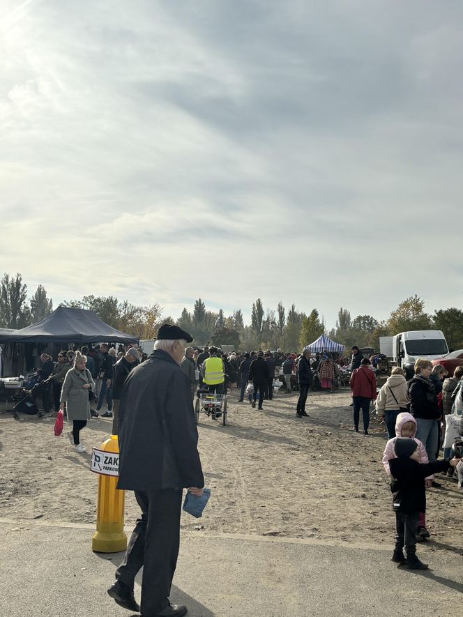 Niedzielny Targ - nowy pchli targ w Poznaniu