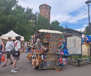 Smoczy Piknik Rodzinny 2025 w Krakowie