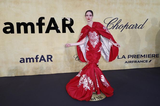  Gwiazdy  na gali amFAR w Cannes