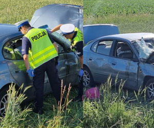 Opolskie: Pijani wypadli samochodem z drogi. Nie prowadziliśmy!