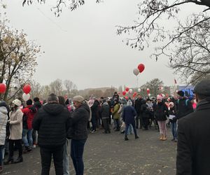 Wojewódzkie obchody Narodowego Święta Niepodległości w Poznaniu