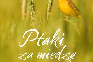 Maciej Cmoch zawodowo zajmuje się badaniami i ochroną ptaków