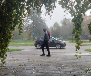 Zamojski Park jesienią