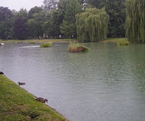 Staw w Parku Miejskim w Kielcach w czasie ulewy