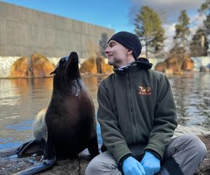 To on ratuje pingwiny przylądkowe. Paweł Borecki z ZOO Wrocław w Afryce