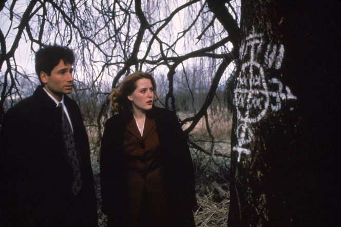 Wyleczony seksoholik i alergik, ale my go kochamy nie za to. David Duchovny kończy 65 lat