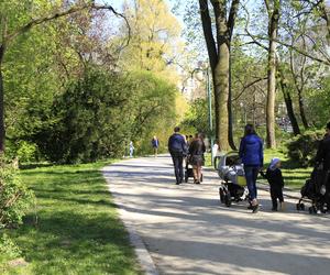 Majówkowy spacer po Ogrodzie Saskim w Lublinie