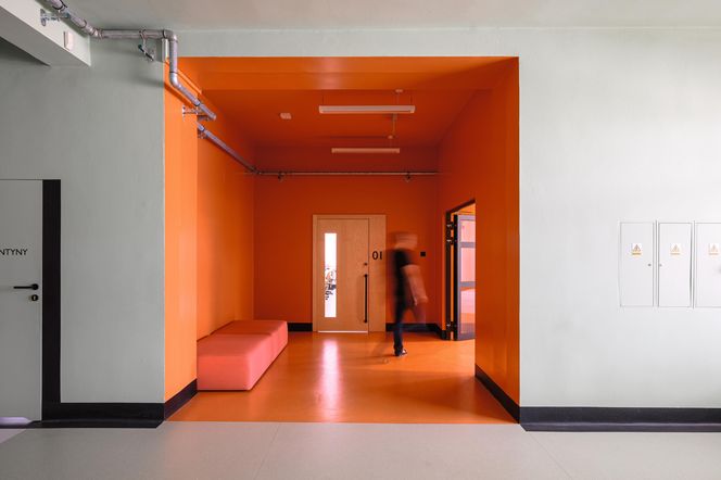 Szkoła - Domaniów 20