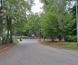 Parking obok Bartka. 