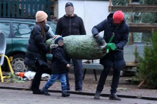 Synek Marty Kaczyńskiej wybrał najpiękniejszą choinkę. Sam pomagał nieść potężne drzewko [ZDJĘCIA]