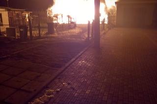 Pan Mirosław stracił gołębnik. Sąsiad spalił go z zazdrości o kobietę