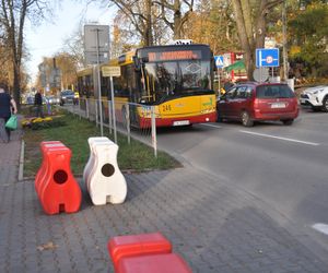 Wszystkich Świętych 2024 w Kielcach. Jak dojechać do cmentarzy? Sprawdź zmiany w ruchu i kursy autobusów