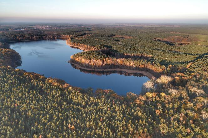 Jezioro Cisie lub też nazywane "Czyste" niedaleko Gorzowa