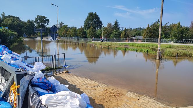 ieszkańcy w pocie czoła układają worki z piaskiem i zabezpieczają swoje budynki