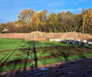 Dziki zryły murawę remontowanego stadionu! Kto zapłaci za naprawę?