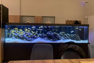 Restauracja Przystań znajduje się w Czarnowie 41A