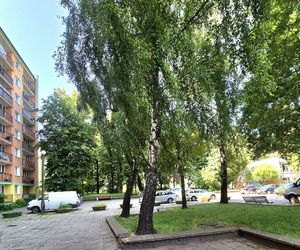Nowy amfiteatr w Lublinie? Miasto szuka wykonawców
